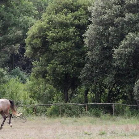Mon Perin Castrum - Studio Castel