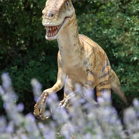 Mon Perin Castrum - Studio Castel Lägenhet